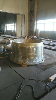 Parti di ricambio HP100 per la frantumazione di bocce a cono in tutto il mondo con tipo di lavorazione della forgiatura