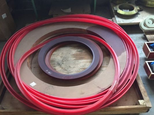 Distribuzione in tutto il mondo Ricambi U Seal per HP100 HP200 HP300 Conoscrusher